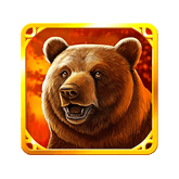 Bear Symbol