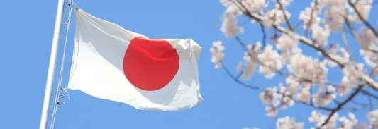 Japan confronts growing online gambling epidemic