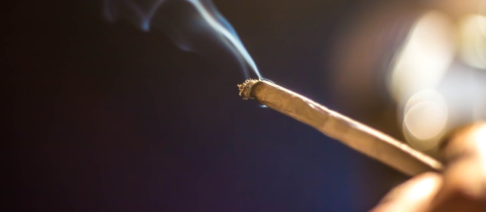 Poll favors cannabis gaming