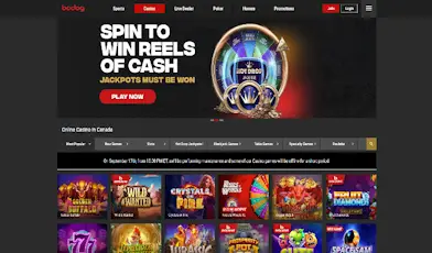 Bodog Website