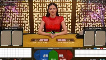 Net bet casino live stream