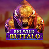 Big Wild Buffalo