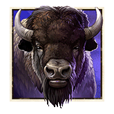 Buffalo Symbol