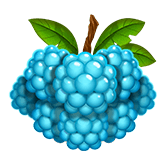 Blue Grapes Symbol