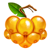 Orange Grapes Symbol