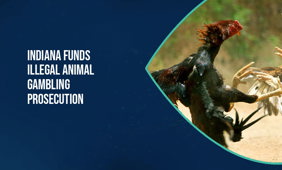 Indiana announce illegal animal gambling bill