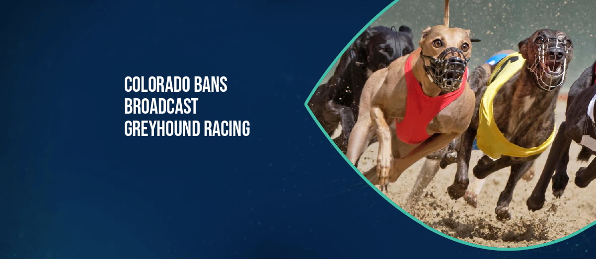 Colorado bans broadcast greyhound racing