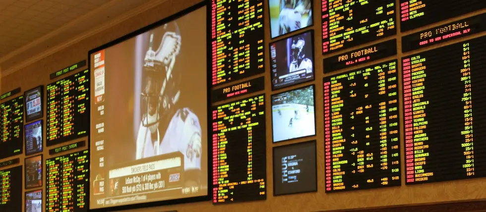 Hawaii Sports Betting Bill Still Alive Following House Vote