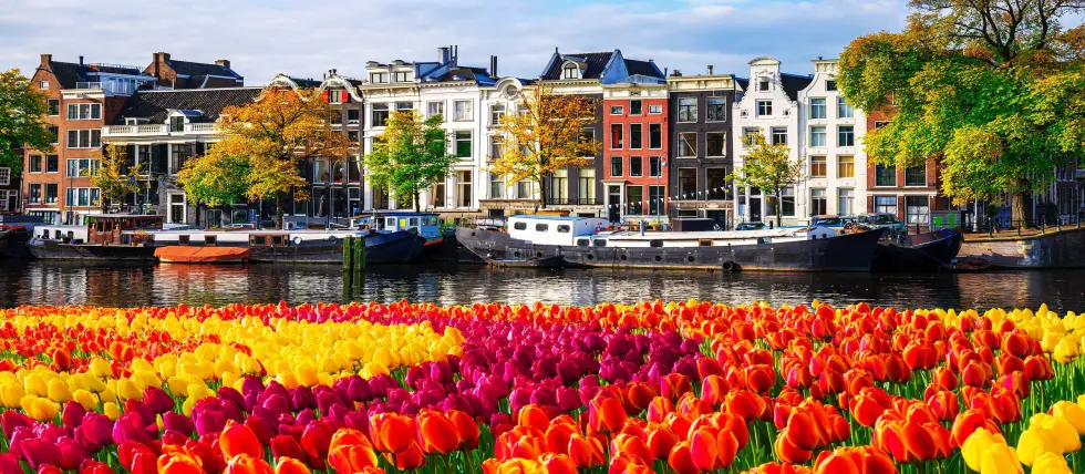 Dutch Gaming Regulator Introduces New Oversight Framework