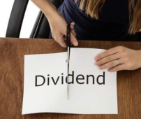 BetIndex decided to reduce payment of dividends